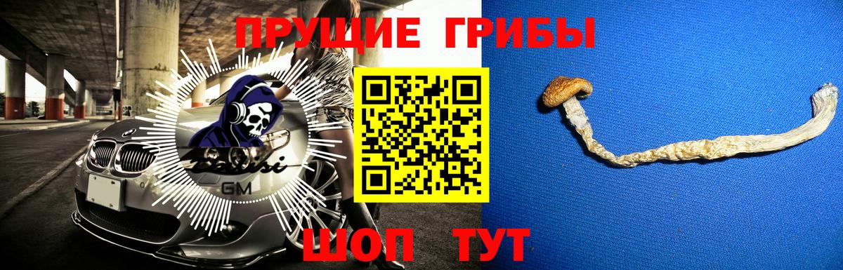 Галлюциногенные грибы Magic Shrooms Жигулёвск
